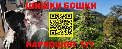 стафф Донецк