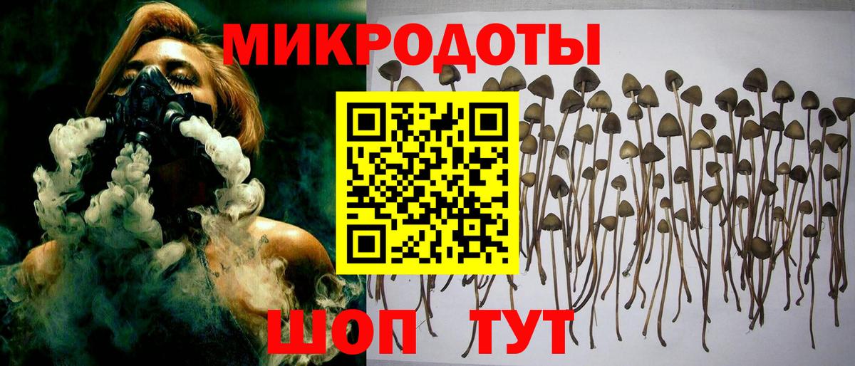 Псилоцибиновые грибы Psilocybine cubensis  Вход с VPN  Минусинск 